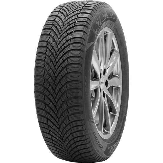 Sentury WinterDragon 195/55R16 87H