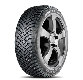 Falken Winterpeak F-Ice 1