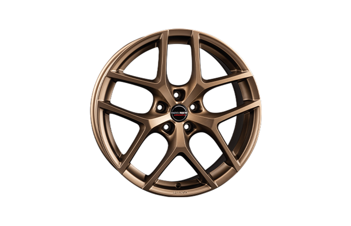 Borbet Y Bronze