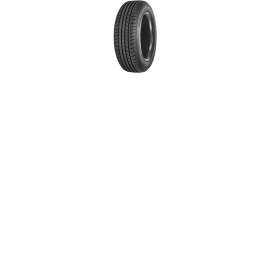 Goodyear EfficientGrip 205/55R16 91W *