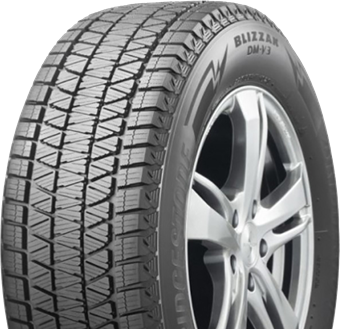 Bridgestone Blizzak DM-V3