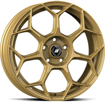 GMP Raceway Oro Corsa