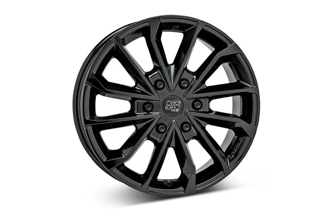 MSW 42 Van Gloss Black