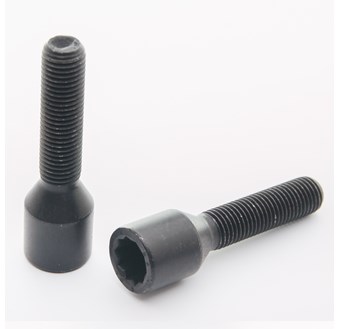 Hjulbult Torx 10-Pack Svart