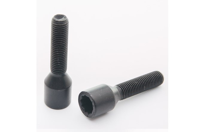 Kit av 20st långa svarta torxbultar 12x1,25 + verktyg