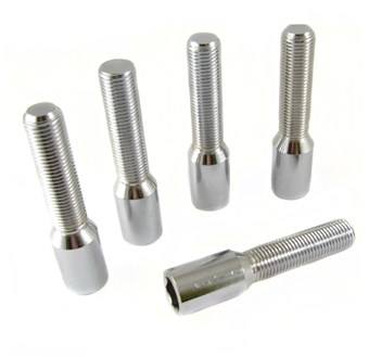 Hjulbult Torx 10-Pack Silver