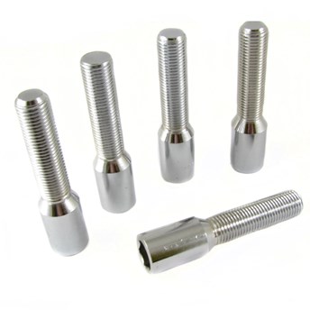 Hjulbult Torx 10-Pack Silver