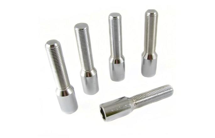 Kit av 20st långa silver torxbultar 12x1,5 + verktyg