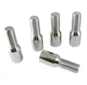 Hjulbult Torx 20-Pack Silver
